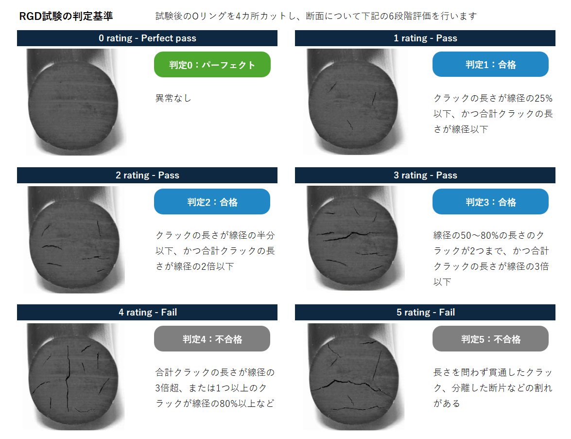 RGD試験の判定基準(0~5の6段階評価)